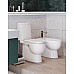 Унитаз-компакт Sanita Luxe Fest SL DM WC.CC/Fest/2-DM/WHT.G/S1 с бачком и сиденьем Микролифт