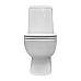 Унитаз-компакт Sanita Luxe Fest SL DM WC.CC/Fest/2-DM/WHT.G/S1 с бачком и сиденьем Микролифт