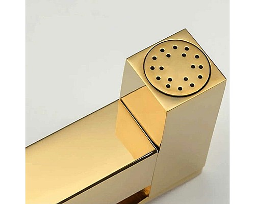 Гигиенический душ со смесителем Frap F7506-3 Золото