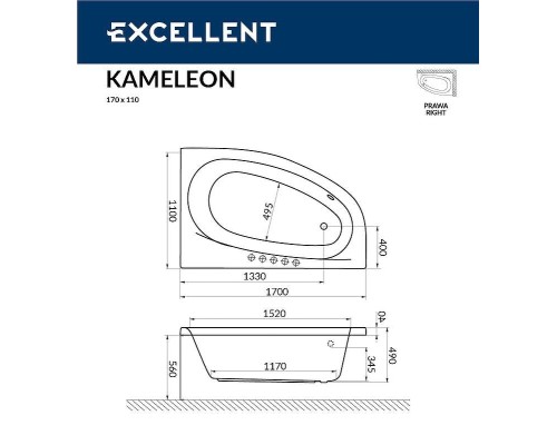 Акриловая ванна Excellent Kameleon 170x110 R Ultra Хром с гидромассажем