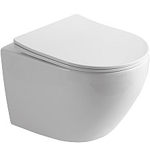 Унитаз Olive's Plaza PL30116DP подвесной с сиденьем Микролифт