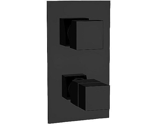 Смеситель для душа Remer Qubica Thermo QT92KBNO с термостатом Черный матовый