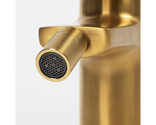 Смеситель для биде WasserKRAFT Aisch 5506 Золото матовое