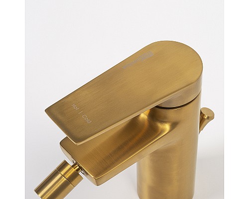 Смеситель для биде WasserKRAFT Aisch 5506 Золото матовое