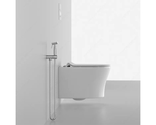 Унитаз Ceruttispa Adige Aria MW CT9245 подвесной Белый матовый с сиденьем Микролифт