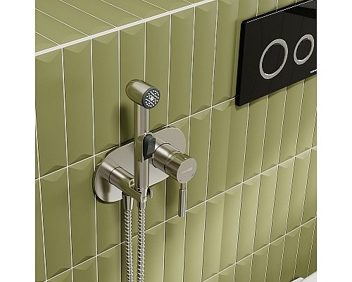 Гигиенический душ со смесителем WasserKRAFT Wern 4238 Никель