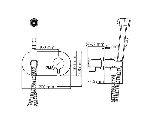 Гигиенический душ со смесителем WasserKRAFT Wern 4238 Никель