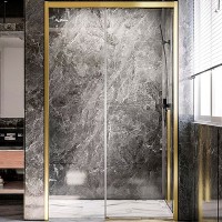 Душевая дверь Veconi Premium Trento PTD-30G 120 профиль Брашированное золото стекло прозрачное