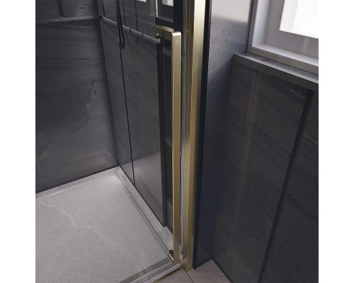 Душевая дверь Veconi Premium Trento PTD-30G 120 профиль Брашированное золото стекло прозрачное