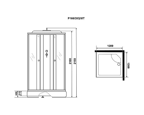 Душевая кабина Niagara Promo 100x100 P100/26Q/MT без гидромассажа