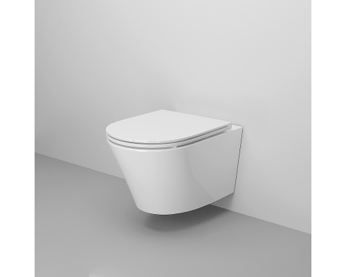 Унитаз Ambassador Ritz 233K19003RS подвесной с сиденьем Микролифт