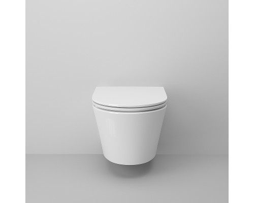 Унитаз Ambassador Ritz 233K19003RS подвесной с сиденьем Микролифт