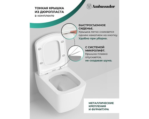 Унитаз Ambassador Kingston 143K19003RS подвесной с сиденьем Микролифт