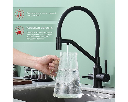 Смеситель для кухни Raglo R81.62.06 Черный матовый