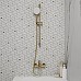 Душевая штанга Iddis Ray RAY70MGi17 Золото матовое