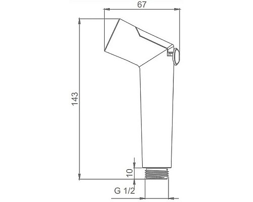 Гигиенический душ Raglo R460.01 Хром