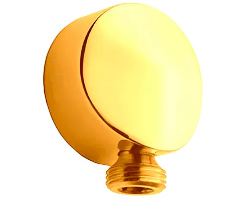 Шланговое подключение Remer 309LDO Золото глянцевое