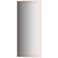 Зеркало Evoform Style 110x50 с зеркальным обрамлением - цвет Бронза