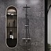 Душевая система Damixa Scandinavian Pure 936740300 Черная матовая