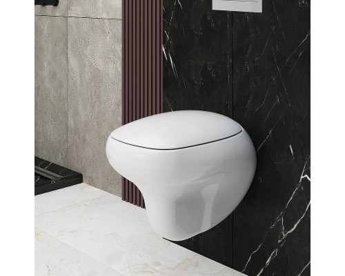 Унитаз Ambassador Diamond 123T20001R-122T20001 подвесной Белый глянцевый с сиденьем Микролифт