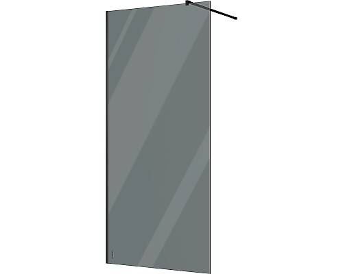 Душевая перегородка STWORKI Берген 100 MV-BE-100-BL-T профиль Черный матовый стекло тонированное