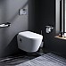 Унитаз-биде AM.PM Sensation CCC301700SC подвесной с сиденьем Микролифт