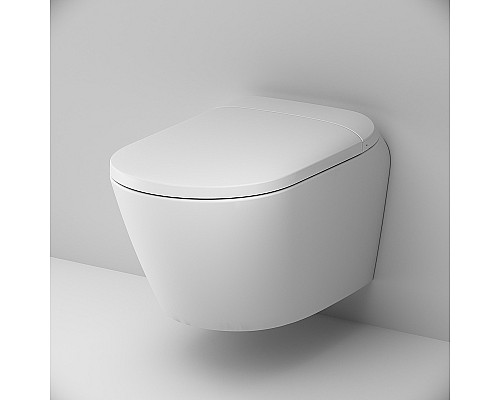 Унитаз-биде AM.PM Sensation CCC301700SC подвесной с сиденьем Микролифт