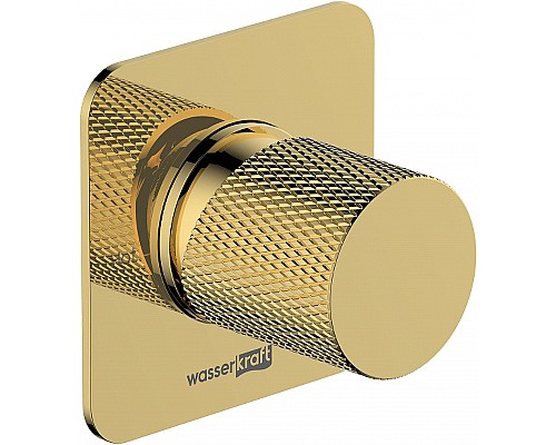 Смеситель для душа WasserKRAFT Ems 7651 Золото глянцевое
