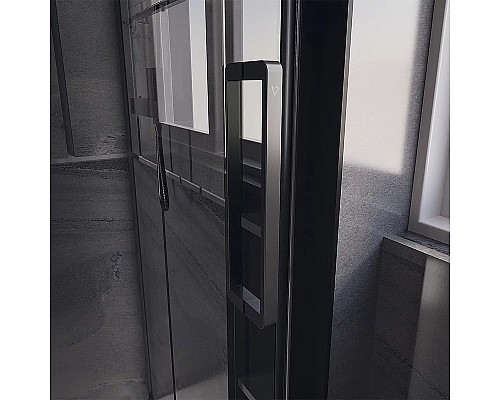 Душевая дверь Veconi Premium Trento PTD-40B 120 PTD40-B-120-01-C4 профиль Черный матовый стекло прозрачное