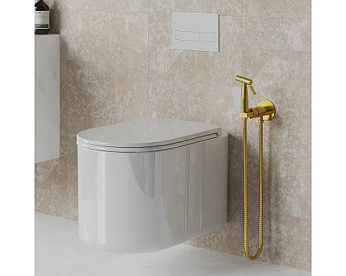 Гигиенический душ со смесителем Paini Castello Round CAPJ442R Брашированное золото