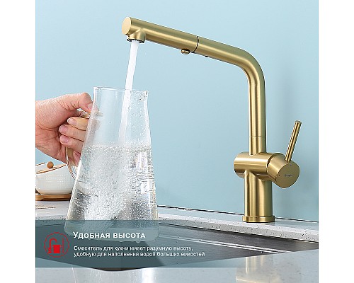Смеситель для кухни Raglo R86.49.03 Золото матовое