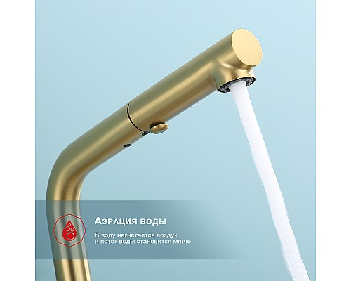 Смеситель для кухни Raglo R86.49.03 Золото матовое