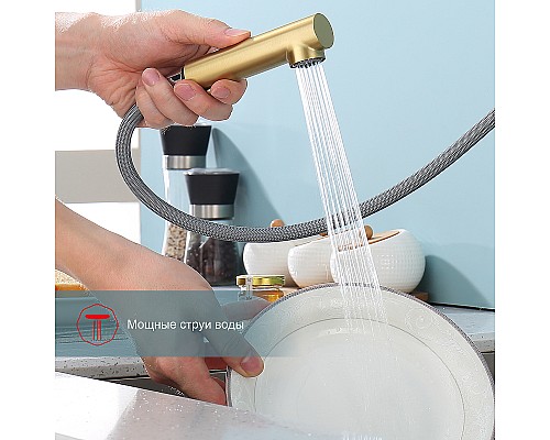 Смеситель для кухни Raglo R86.49.03 Золото матовое