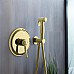 Гигиенический душ со смесителем Aquatek Классик AQ1519PG Полированное золото