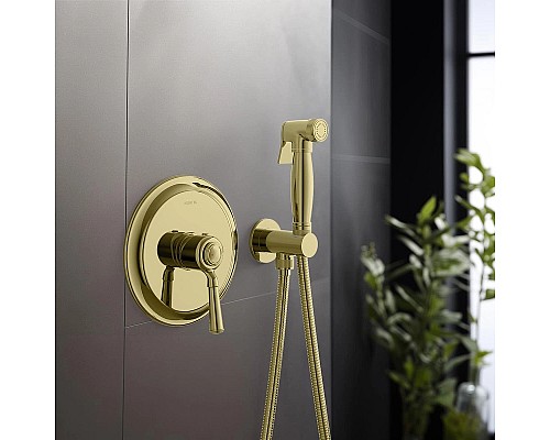 Гигиенический душ со смесителем Aquatek Классик AQ1519PG Полированное золото