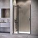Душевая дверь RGW Leipzig LE-004-B 110 351200411-14 профиль Черный стекло прозрачное