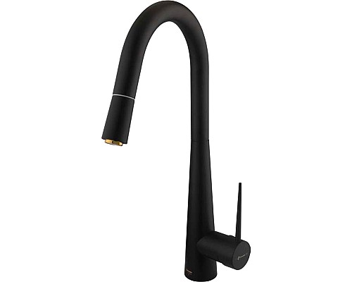 Смеситель для кухни Shouder Iten 0300617 Черный Золото