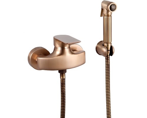 Гигиенический душ со смесителем Remer iC31RELVO Бронза