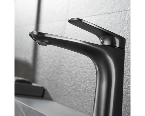 Смеситель для раковины Black&White Universe UK8701MG 8701MG Gun Metal