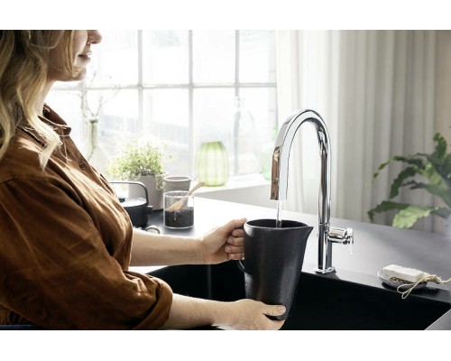 Смеситель для кухни Hansgrohe Aqittura M91 Хром