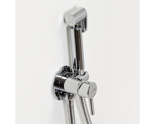 Гигиенический душ со смесителем WasserKRAFT A70138 Хром