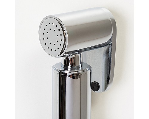 Гигиенический душ со смесителем WasserKRAFT A70138 Хром