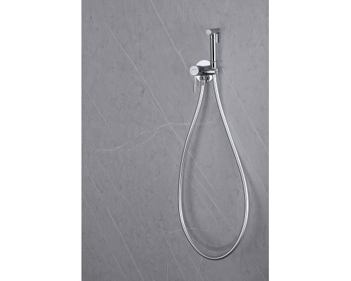 Гигиенический душ со смесителем Abber Wasser Kreis AF8125 Хром