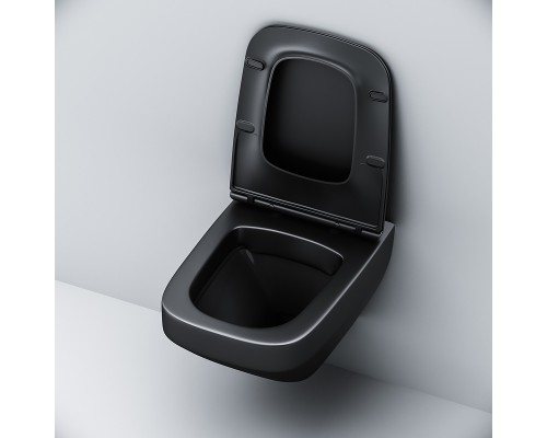 Комплект унитаза с инсталляцией AM.PM Inspire V2.0 Черный матовый с сиденьем Микролифт с Черной глянцевой клавишей смыва с гигиеническим душе?