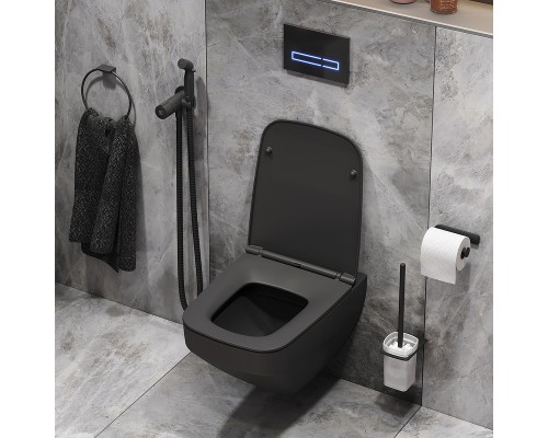 Комплект унитаза с инсталляцией AM.PM Inspire V2.0 Черный матовый с сиденьем Микролифт с Черной глянцевой клавишей смыва с гигиеническим душе?
