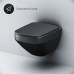 Комплект унитаза с инсталляцией AM.PM Inspire V2.0 Черный матовый с сиденьем Микролифт с Черной глянцевой клавишей смыва с гигиеническим душе?
