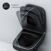 Комплект унитаза с инсталляцией AM.PM Inspire V2.0 Черный матовый с сиденьем Микролифт с Черной глянцевой клавишей смыва с гигиеническим душе?