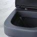Комплект унитаза с инсталляцией AM.PM Inspire V2.0 Черный матовый с сиденьем Микролифт с Черной глянцевой клавишей смыва с гигиеническим душе?