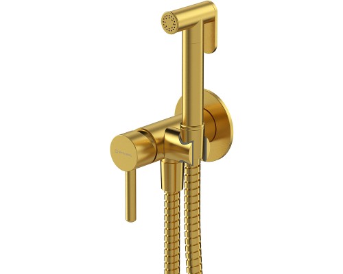 Гигиенический душ со смесителем Whitecross Y brushed gold SYSYBI2GLB Брашированное золото