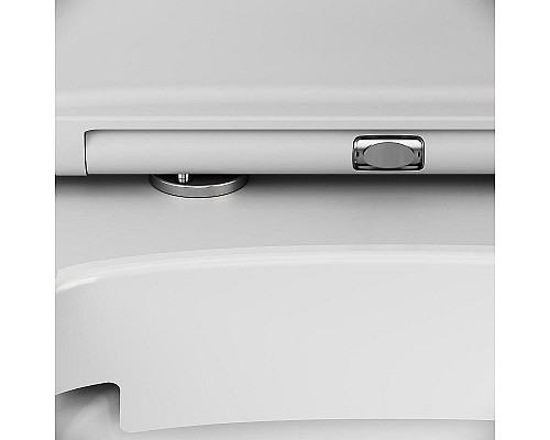 Унитаз AM.PM Inspire V2.0 FlashClean C50A1700MWSC подвесной Белый матовый с сиденьем микролифт